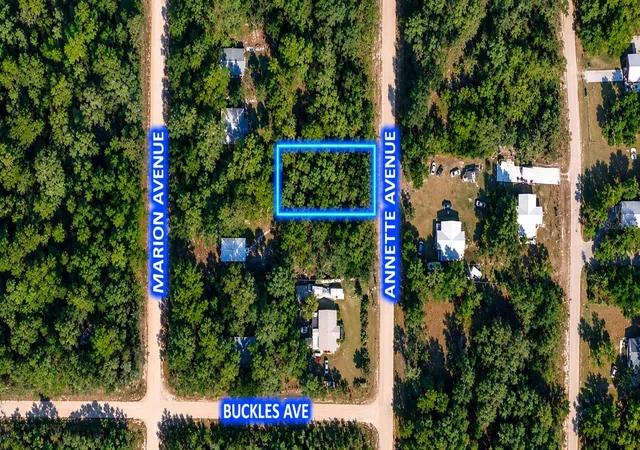 Photo 1 of Land for sale at 915 Annette Ave, Interlachen, FL 32148 | MLS# OK225384 | Listing updated on 2026-09-28