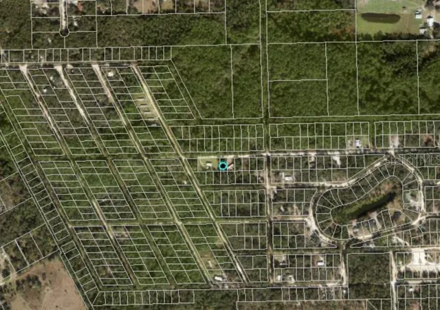Homes for sale in Satsuma, FL | 711 Hickory Nut Trl, Satsuma, FL 32189 | MLS# C7512183