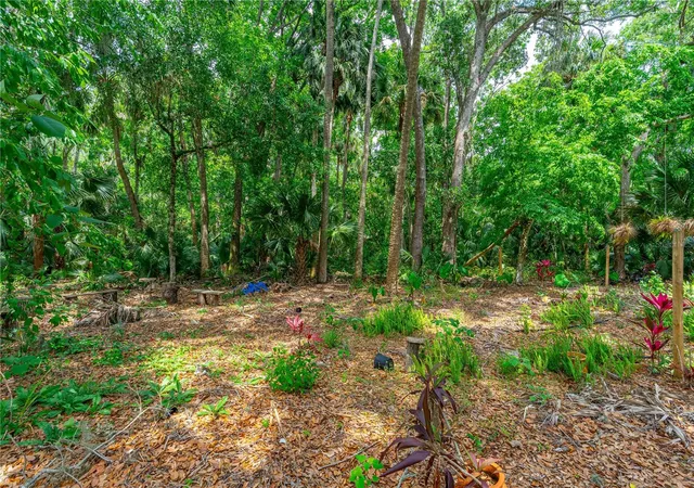 Photo 3 of Sale Pending at 849 Terrace Ave, Daytona Beach, FL 32114 | MLS# NS1085427 | Listing updated on 2026-08-16