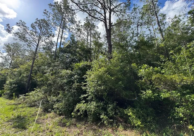 Homes for sale in Dunnellon, FL | Lot#11 Sw South Beach Ct, Dunnellon, FL 34431 | MLS# OM705259