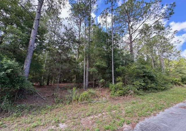 Homes for sale in Dunnellon, FL | Lot#11 Sw South Beach Ct, Dunnellon, FL 34431 | MLS# OM705259