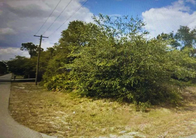 Homes for sale in Alva, FL | 4001 E 20 St, Alva, FL 33920 | MLS# OM705294