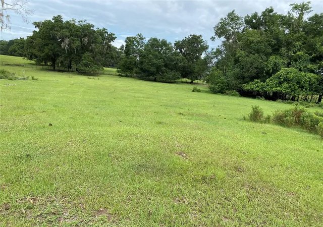Photo 1 of Land for sale at 17249 Ne 9th Avenue, Citra, FL 32113 | MLS# OM705338 | Listing updated on 2026-09-01