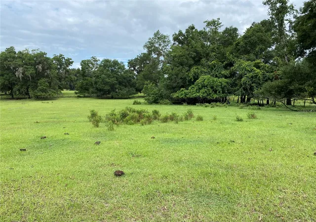 Photo 3 of Land for sale at 17249 Ne 9th Avenue, Citra, FL 32113 | MLS# OM705338 | Listing updated on 2026-09-01