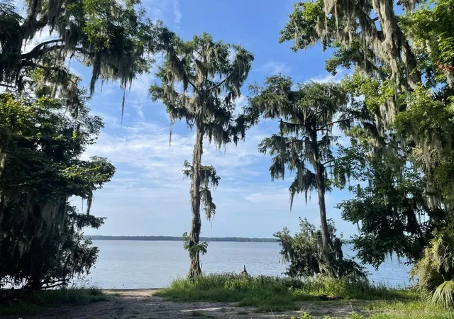 4th image of 430 Se 74Th St, Gainesville, FL 32641 | MLS# GC532447