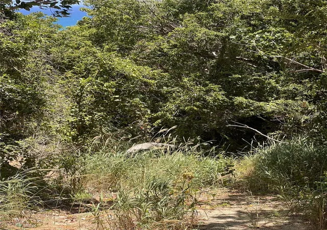 Photo 3 of Land for sale at La Hueca Vistas Lot 3, Vieques, PR 00765 | MLS# PR9114840 | Listing updated on 2026-09-02