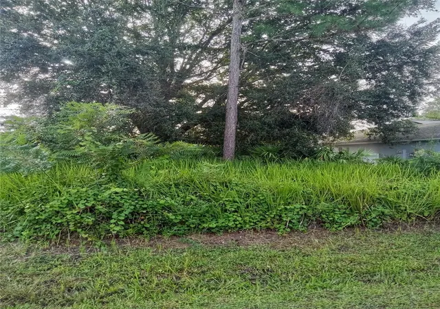 Homes for sale in Kissimmee, FL | Maricopa Dr, Kissimmee, FL 34758 | MLS# S5130912