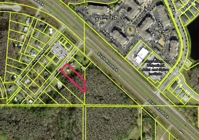 1st image of 14969 Ogden Loop, Odessa, FL 33556 | MLS# TB8408110