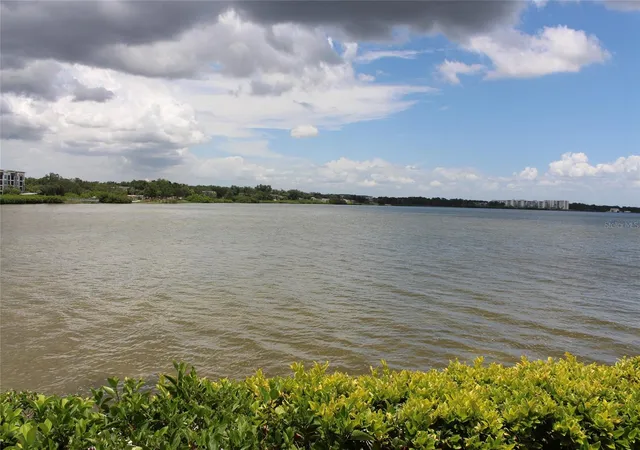 4th image of 19029 Us Hwy 19 N #16C, Clearwater, FL 33764 | MLS# TB8409184