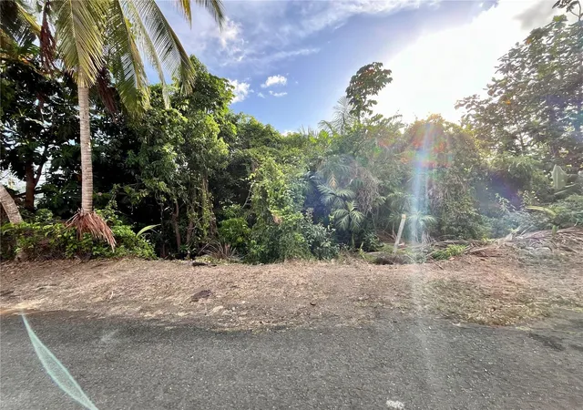 Homes for sale in Carolina, PR | La Jalda #11, Carolina, PR 00987 | MLS# PR9114997