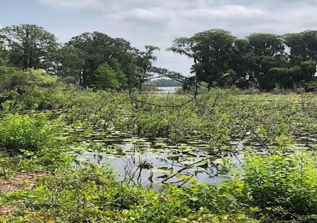 Photo 3 of Land for sale at Carver, New Port Richey, FL 34654 | MLS# TB8409821 | Listing updated on 2026-07-16