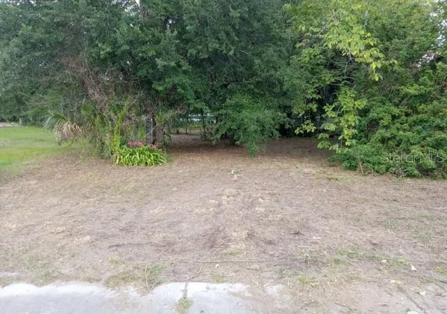 Homes for sale in Fort Meade, FL | 505 S Lanier Ave, Fort Meade, FL 33841 | MLS# P4935613