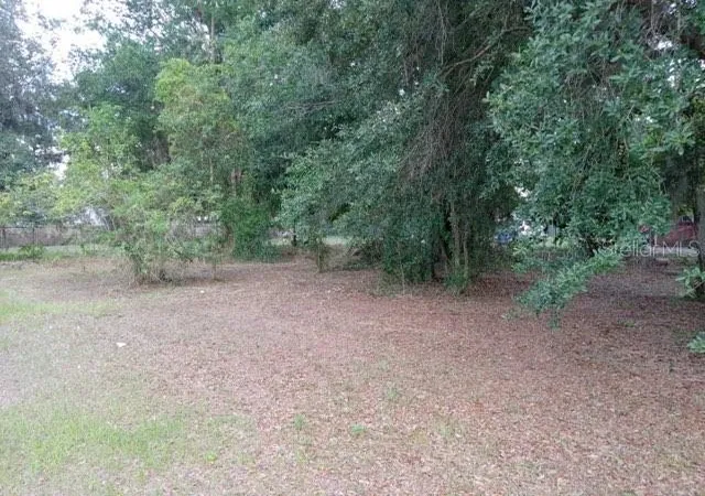 Homes for sale in Fort Meade, FL | 505 S Lanier Ave, Fort Meade, FL 33841 | MLS# P4935613