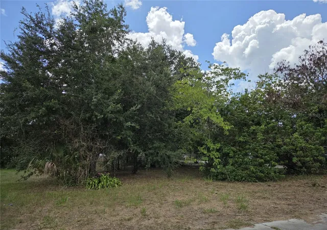 Homes for sale in Fort Meade, FL | 505 S Lanier Ave, Fort Meade, FL 33841 | MLS# P4935613