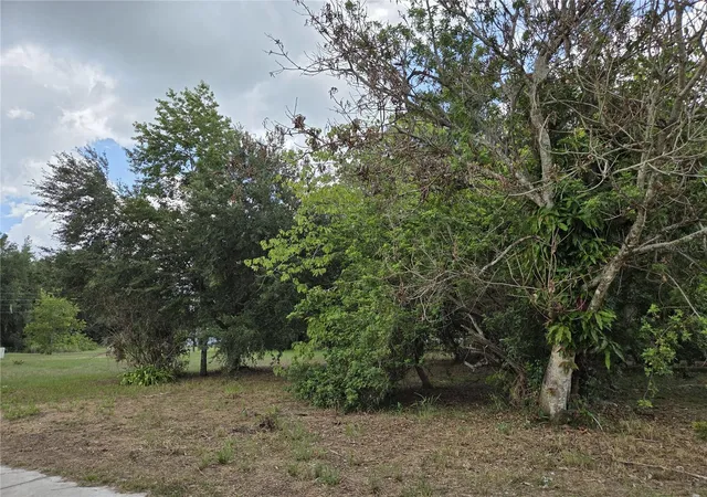 Homes for sale in Fort Meade, FL | 505 S Lanier Ave, Fort Meade, FL 33841 | MLS# P4935613