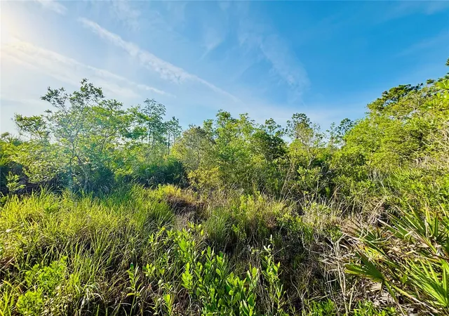 Photo 3 of Land for sale at 0 Shakedown St, Saint Cloud, FL 34773 | MLS# O6329621 | Listing updated on 2026-09-24