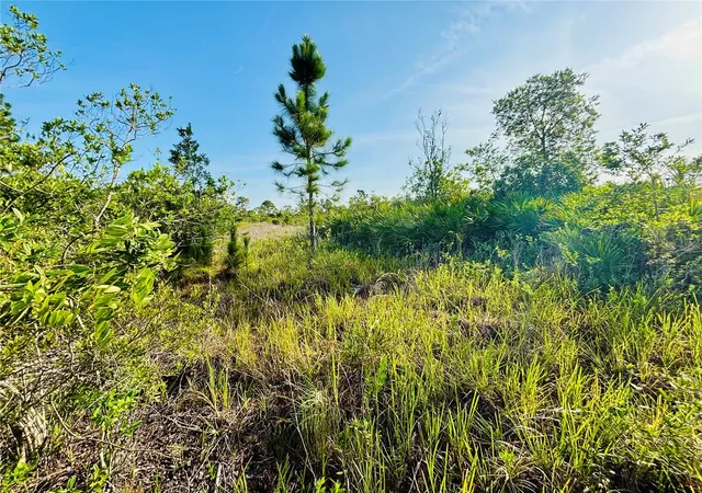 Photo 3 of Land for sale at 0 Shakedown St, Saint Cloud, FL 34773 | MLS# O6329621 | Listing updated on 2026-09-24