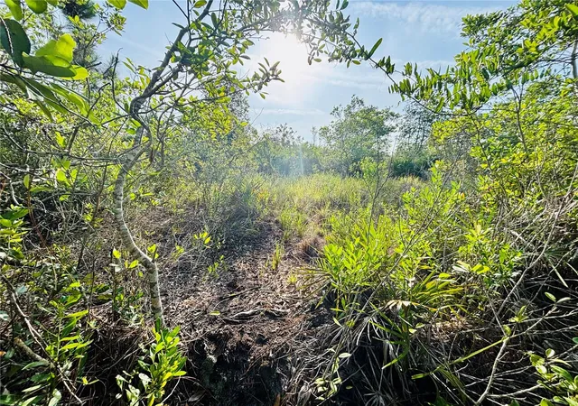 Photo 4 of Land for sale at 0 Shakedown St, Saint Cloud, FL 34773 | MLS# O6329621 | Listing updated on 2026-09-24