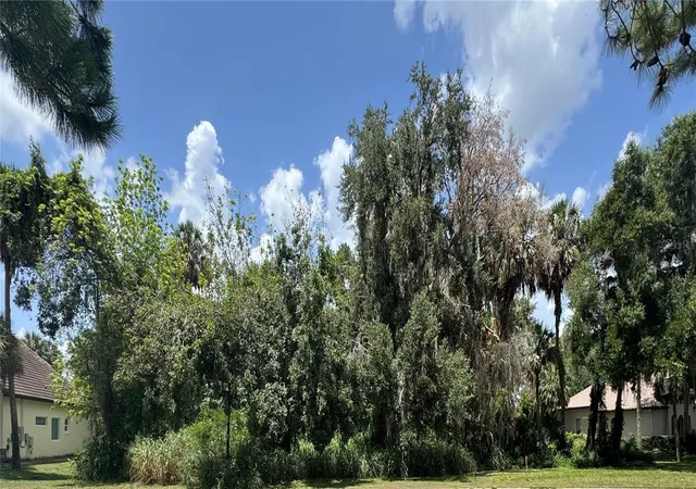 1st image of Lot K 14 Blue Heron Circle Circle, Deer Island, FL 32778 | MLS# TB8410714