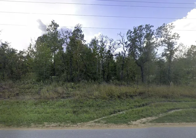 Homes for sale in Interlachen, FL | Tbd Lakeview Trl, Interlachen, FL 32148 | MLS# OK225440