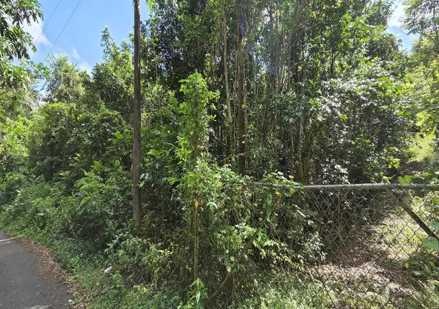 Homes for sale in Vega Alta, PR | Carr 647 Bo Candelaria Lote D, Vega Alta, PR 00692 | MLS# PR9115085