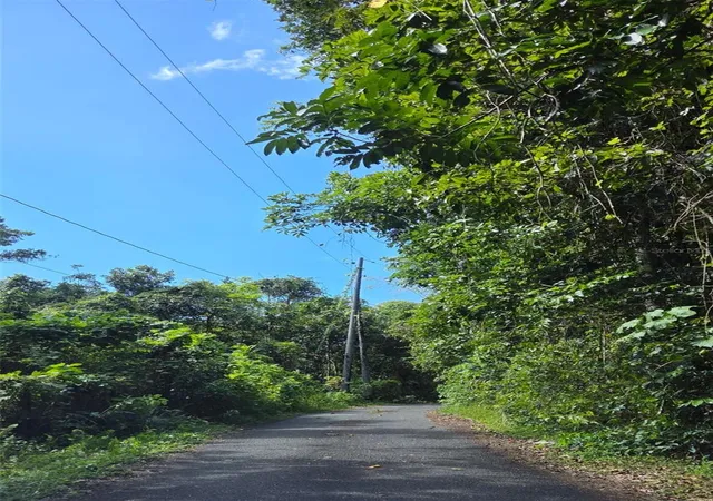 Homes for sale in Vega Alta, PR | Carr 647 Bo Candelaria Lote D, Vega Alta, PR 00692 | MLS# PR9115085