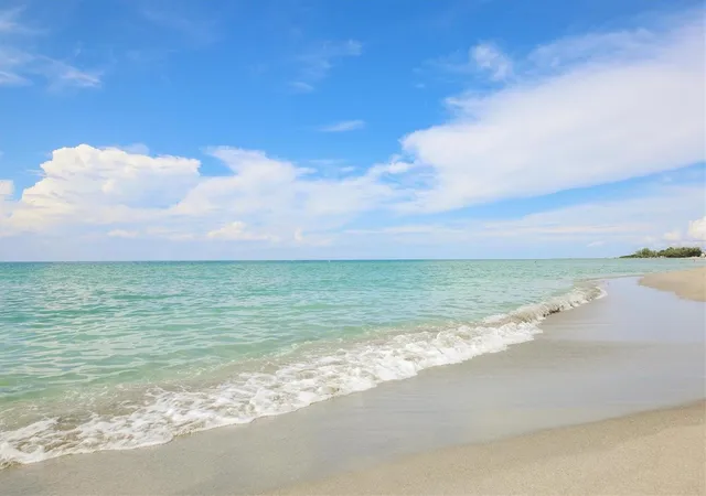 51st image of 119 Woodbridge Dr #102, Venice, FL 34293 | MLS# N6139880