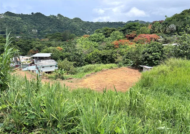 Homes for sale in Naranjito, PR | Camino Colon, Naranjito, PR 00719 | MLS# PR9115104