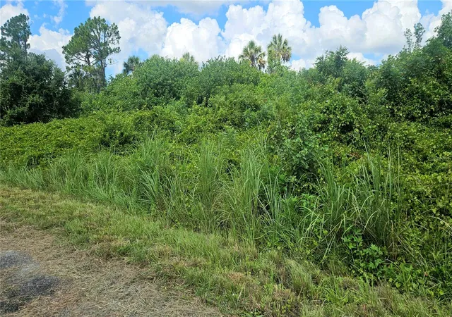 Photo 4 of Land for sale at Custer Lot #25 Cir, North Port, FL 34288 | MLS# C7512895 | Listing updated on 2026-07-22