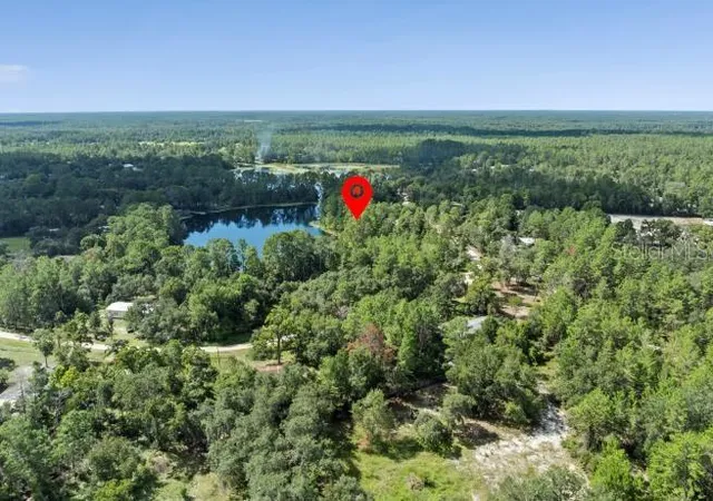 Homes for sale in Paisley, FL | Pine Valley Dr, Paisley, FL 32767 | MLS# O6331281