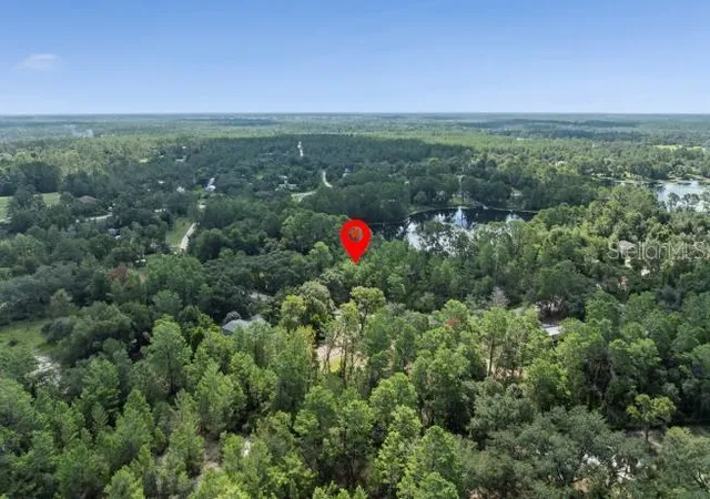 Homes for sale in Paisley, FL | Pine Valley Dr, Paisley, FL 32767 | MLS# O6331281