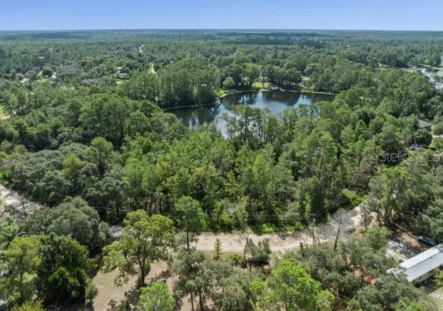 Homes for sale in Paisley, FL | Pine Valley Dr, Paisley, FL 32767 | MLS# O6331281
