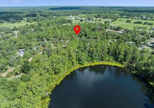 Homes for sale in Paisley, FL | Pine Valley Dr, Paisley, FL 32767 | MLS# O6331281