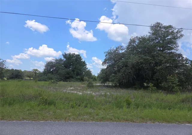 3rd image of Lot 14 Sw Viola Court, Dunnellon, FL 34431 | MLS# OM706529