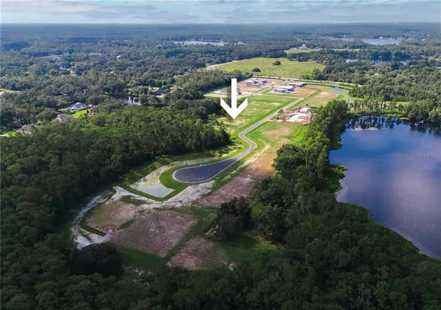 11th image of 19319 Dimple Dr, Odessa, FL 33556 | MLS# TB8412702