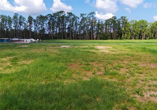 1st image of 19319 Dimple Dr, Odessa, FL 33556 | MLS# TB8412702