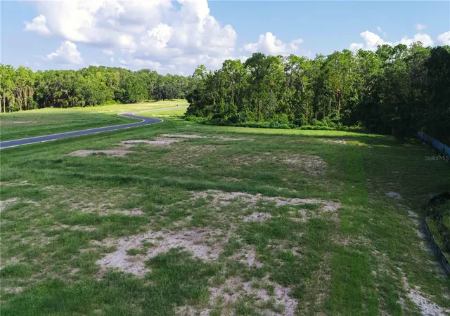 Photo 3 of Land for sale at 19319 Dimple Dr, Odessa, FL 33556 | MLS# TB8412702 | Listing updated on 2026-10-07