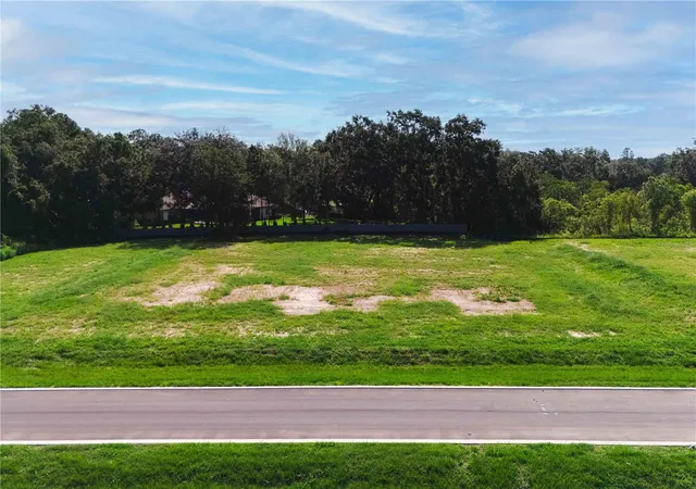 Photo 3 of Land for sale at 19319 Dimple Dr, Odessa, FL 33556 | MLS# TB8412702 | Listing updated on 2026-10-09