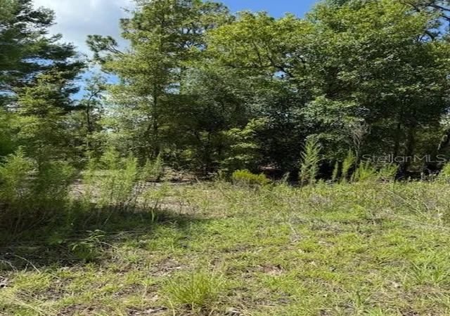 Photo 3 of Land for sale at 115 S Dakota St, Hawthorne, FL 32640 | MLS# OM706618 | Listing updated on 2026-07-17