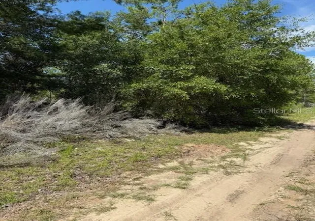 Photo 1 of Land for sale at 111 S Dakota St, Hawthorne, FL 32640 | MLS# OM706629 | Listing updated on 2026-07-17