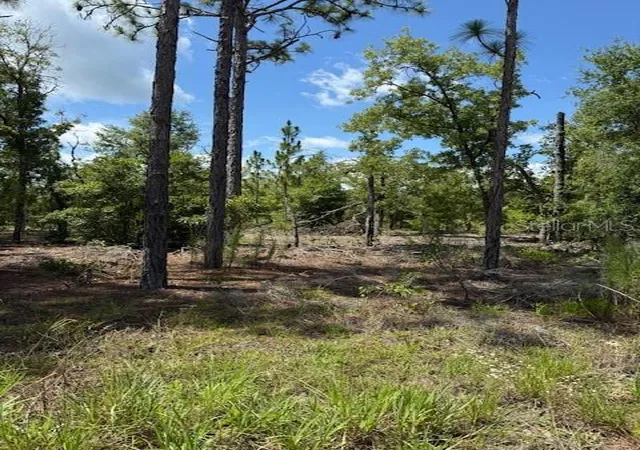 Photo 3 of Land for sale at 111 S Dakota St, Hawthorne, FL 32640 | MLS# OM706629 | Listing updated on 2026-07-17