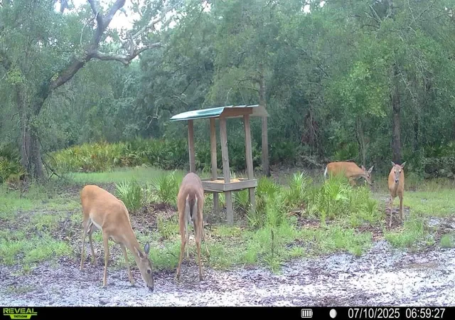 66th image of 2669 Nw Suwannee Valley Rd, Lake City, FL 32055 | MLS# OM706649