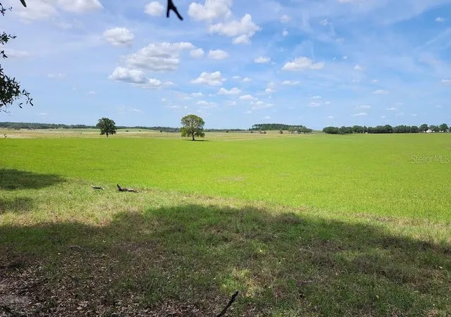 Photo 3 of Land for sale at Lot SW 27 Pine Blfs Rd, Dunnellon, FL 34431 | MLS# OM706808 | Listing updated on 2026-05-24
