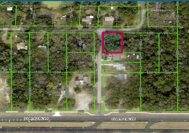 Homes for sale in Dade City, FL | Lot 175c Madison Ave, Dade City, FL 33523 | MLS# W7877856
