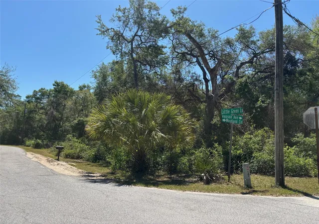 Homes for sale in Dade City, FL | Lot 175c Madison Ave, Dade City, FL 33523 | MLS# W7877856