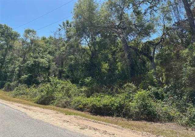 Homes for sale in Dade City, FL | Lot 175C Madison Ave, Dade City, FL 33523 | MLS# W7877856