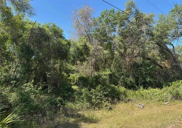 Homes for sale in Dade City, FL | Lot 175C Madison Ave, Dade City, FL 33523 | MLS# W7877856