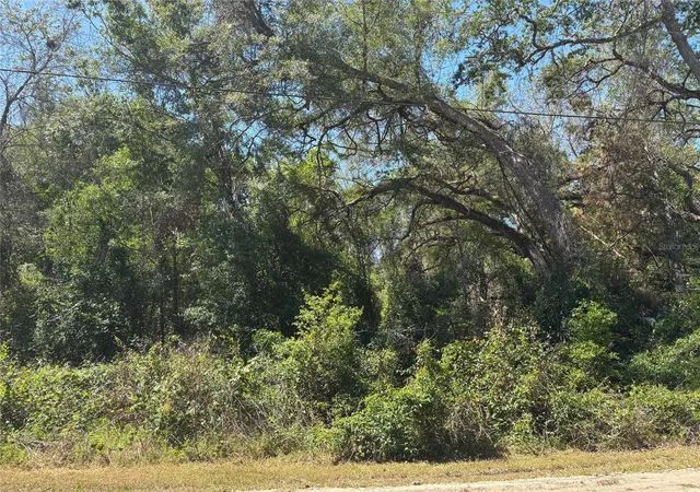 Homes for sale in Dade City, FL | Lot 175C Madison Ave, Dade City, FL 33523 | MLS# W7877856