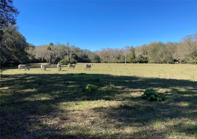 24th image of 2436 Cr 416n, Lake Panasoffkee, FL 33538 | MLS# G5100415