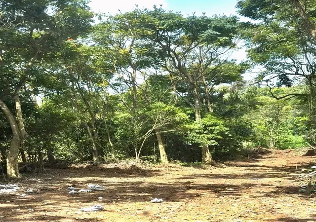Homes for sale in Cayey, PR | Sector Terra Del Valle, Cayey, PR 00736 | MLS# PR9115282